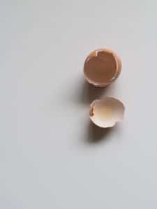 Brown Egg Shell On White Surface 929774